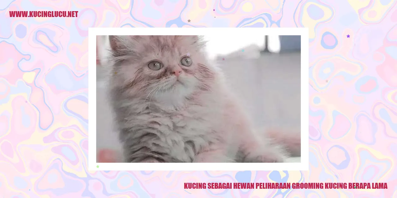 Gambar kucing yang sedang dirawat