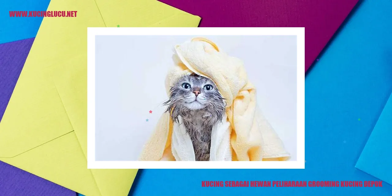 Grooming Kucing di Depok