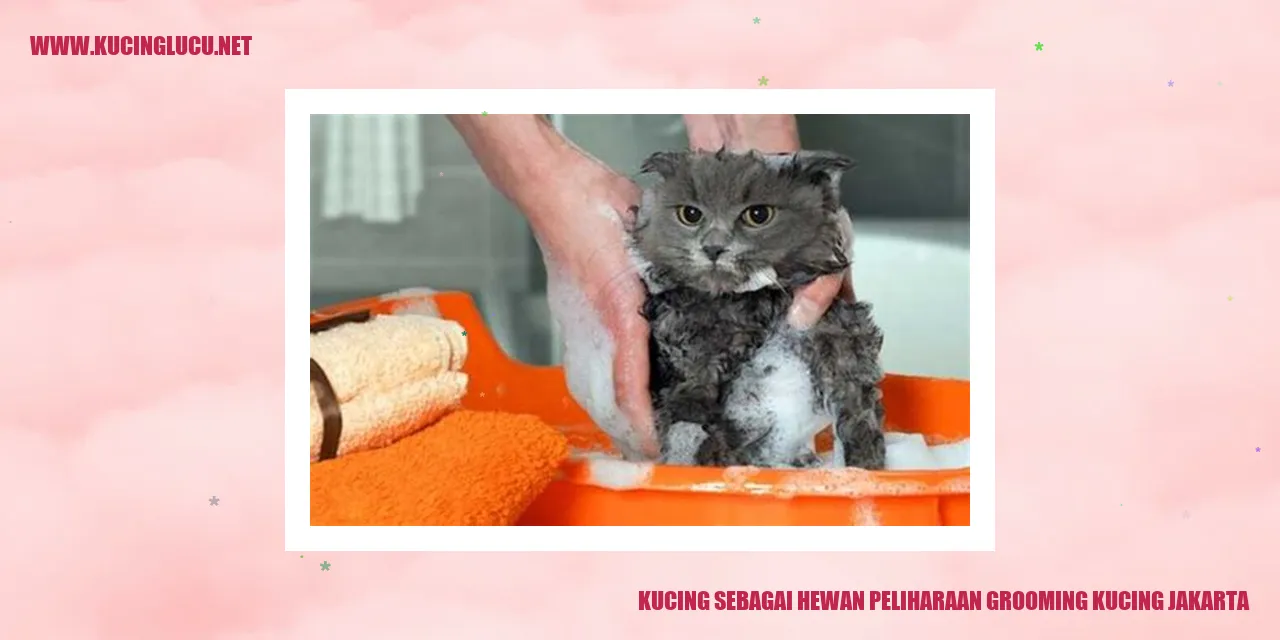 Kucing sebagai Hewan Piaraan dan Jasa Grooming di Jakarta
