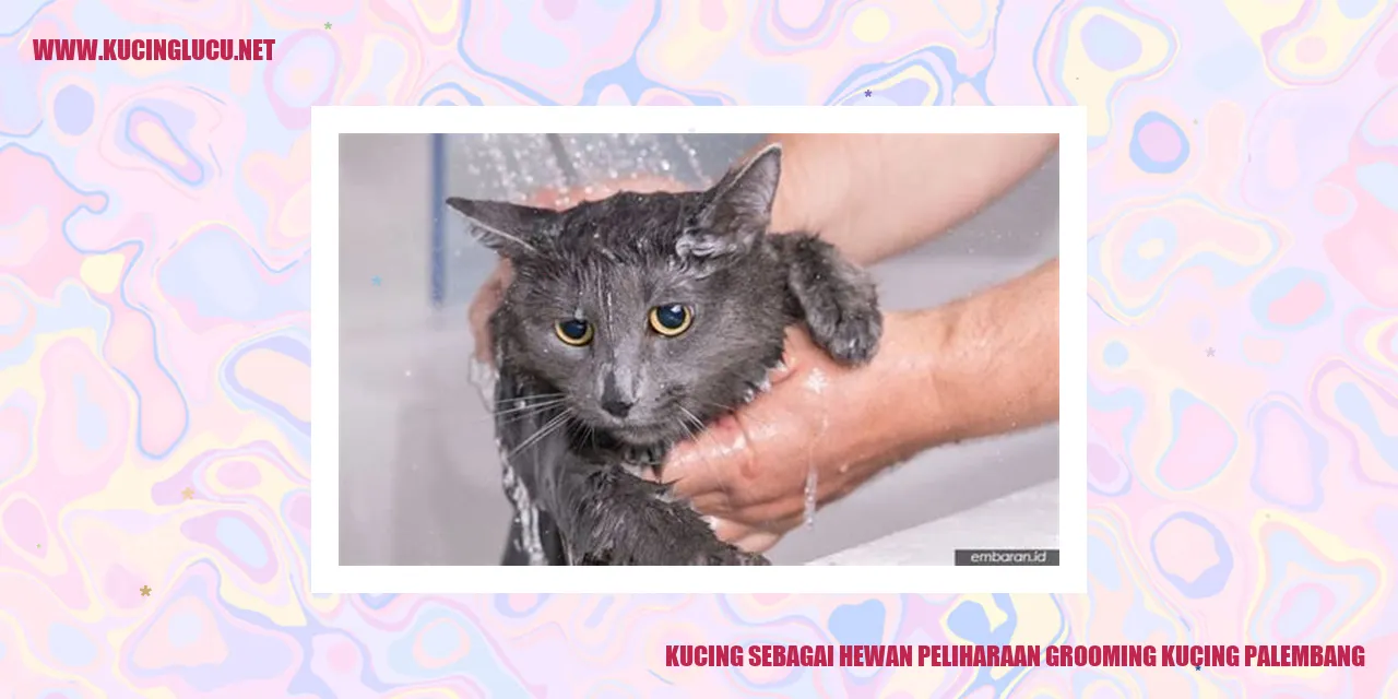 Kucing Menggemaskan
