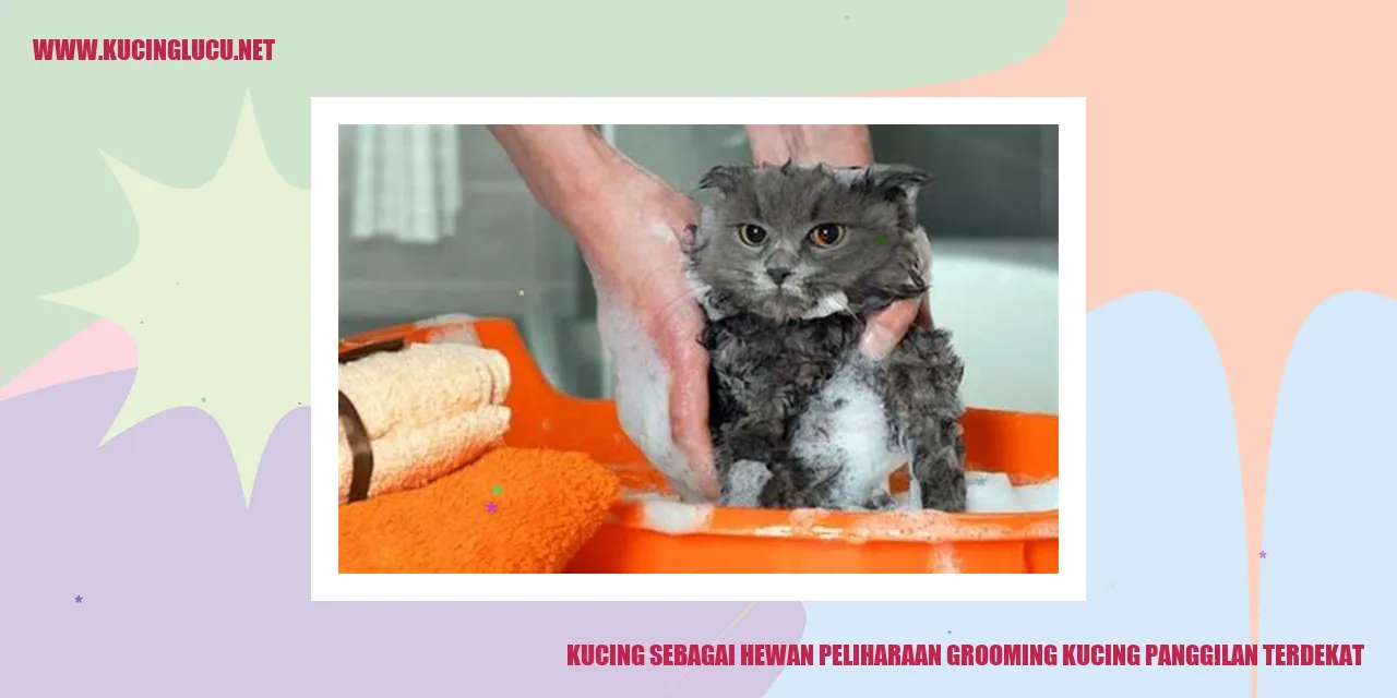 Kucing sebagai Hewan Peliharaan
