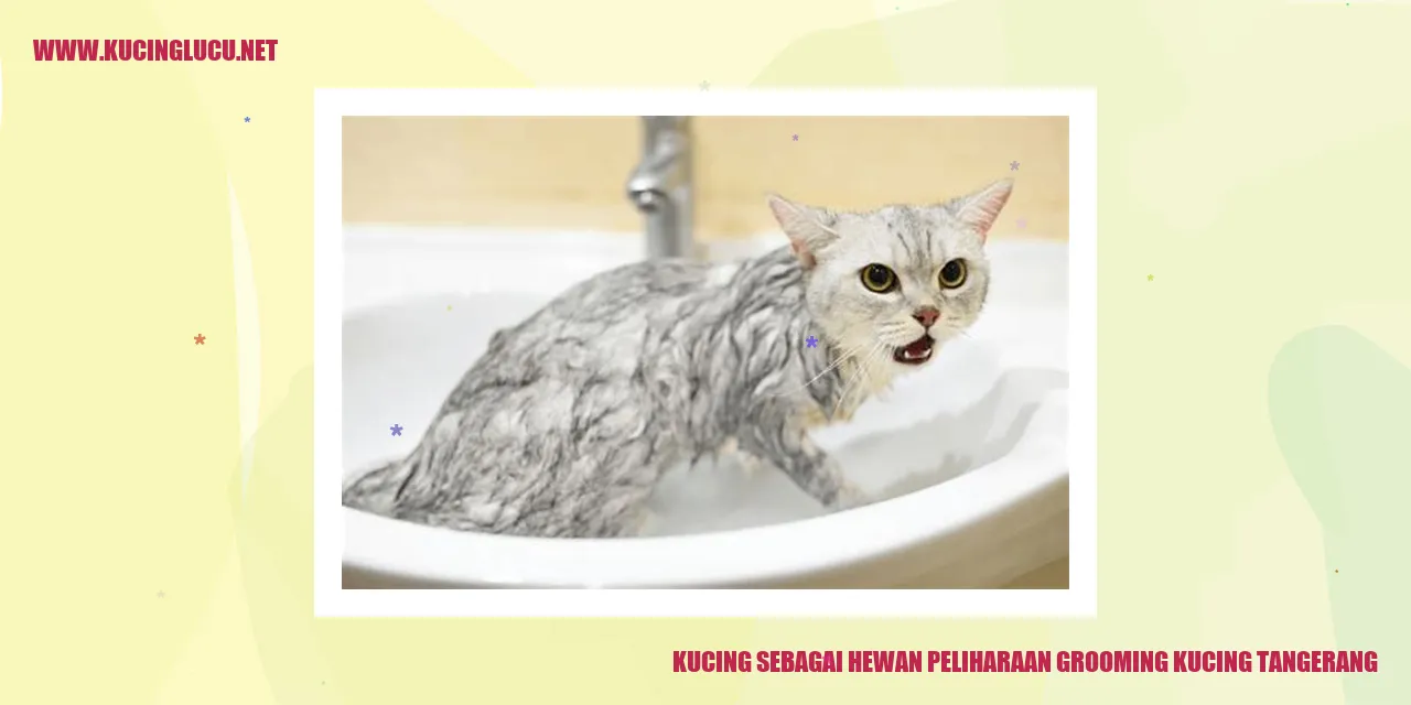Kucing yang dirawat dengan grooming
