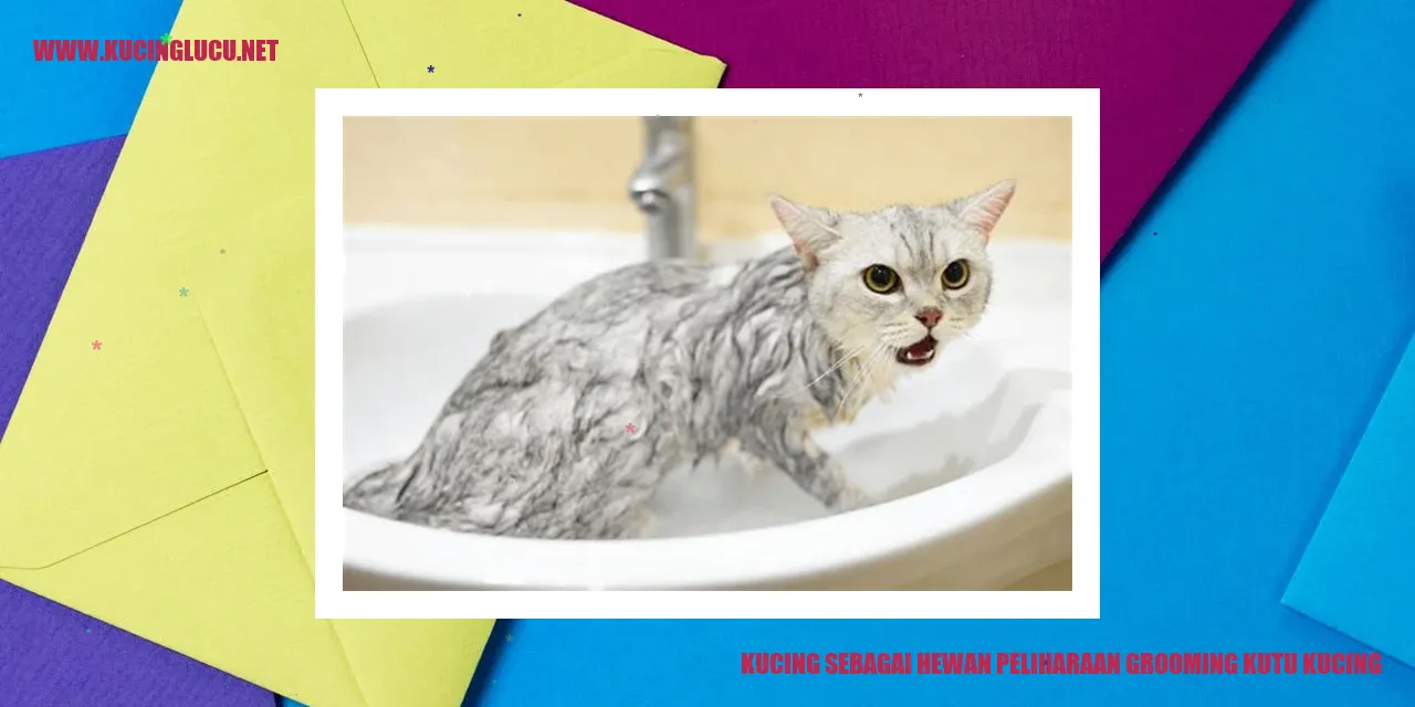 Kucing dalam Grooming Kutu Kucing