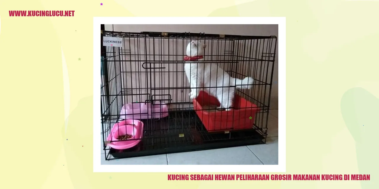 Kucing sebagai Hewan Peliharaan
