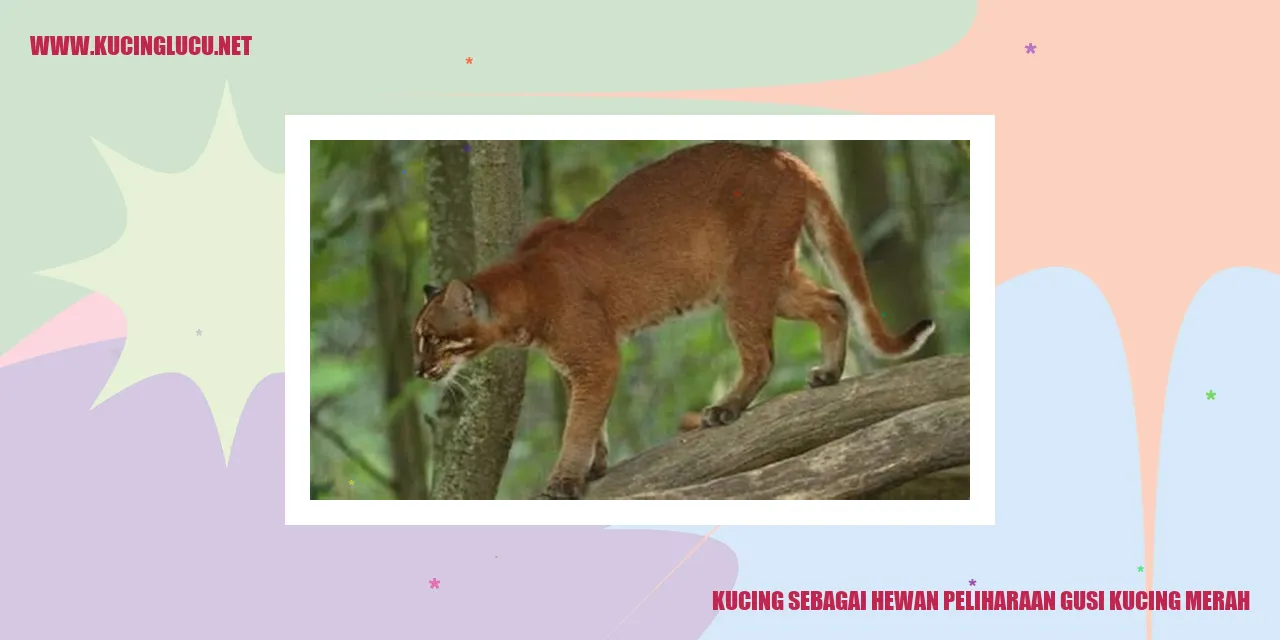 gambar kucing yang menggemaskan