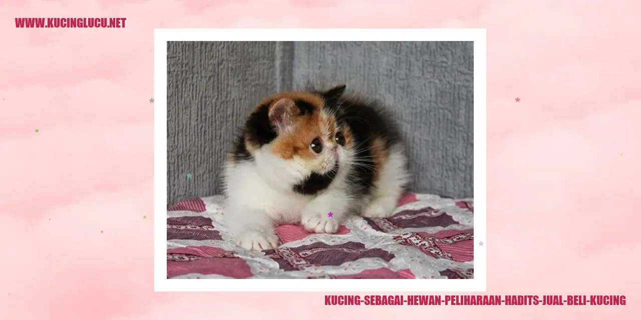 Kucing sebagai Hewan Peliharaan