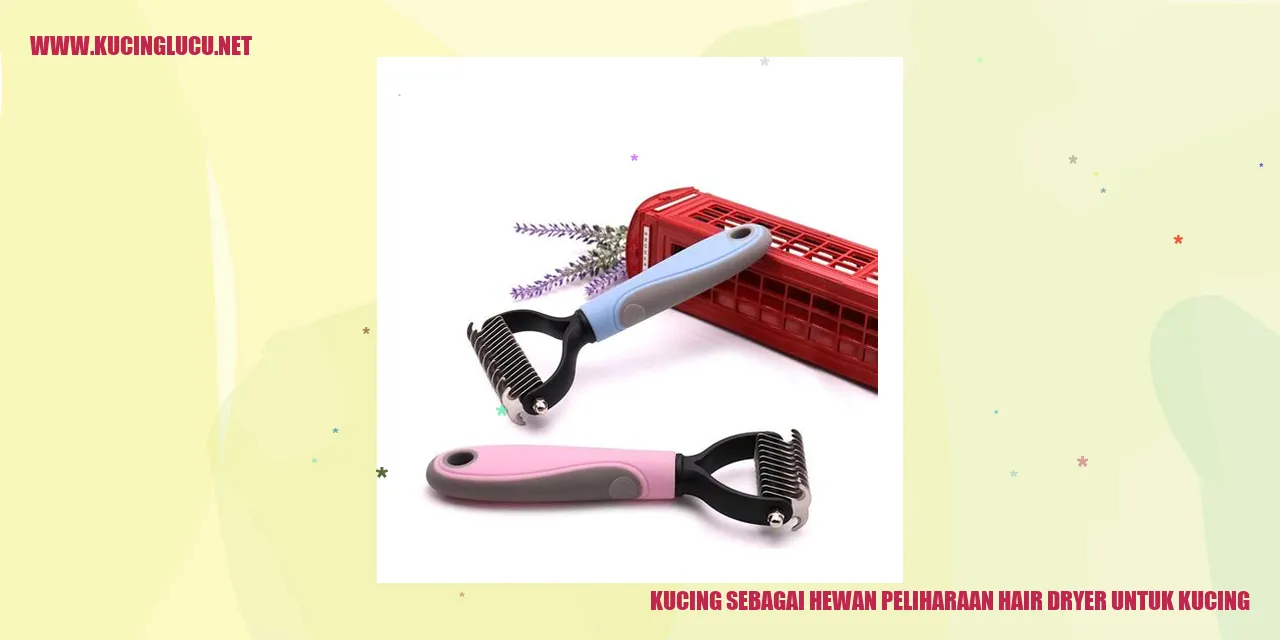 Kucing sebagai Hewan Peliharaan