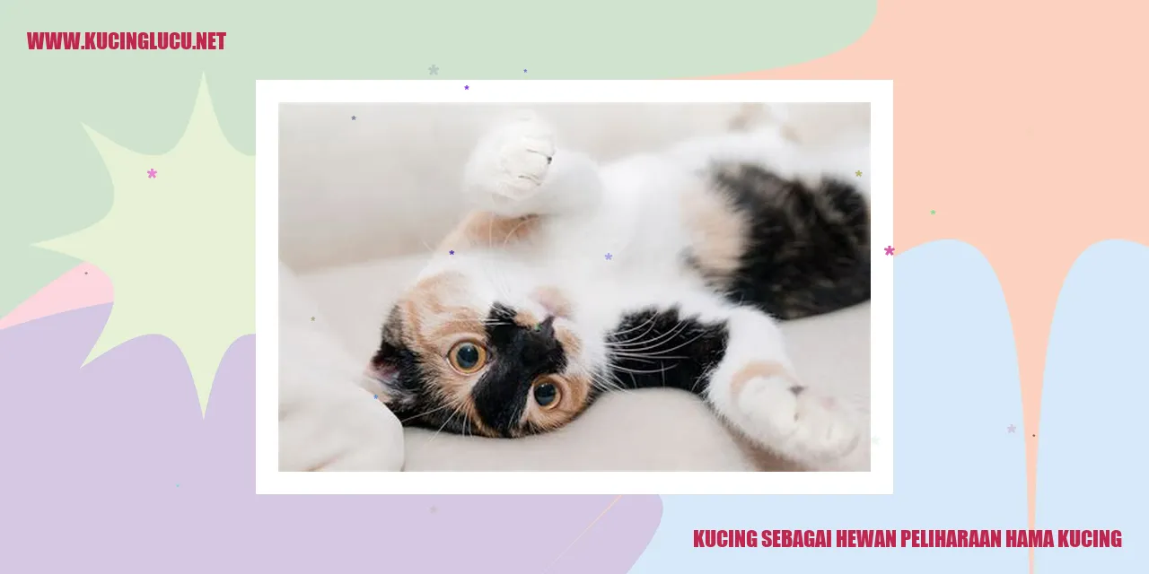 Gambar Kucing