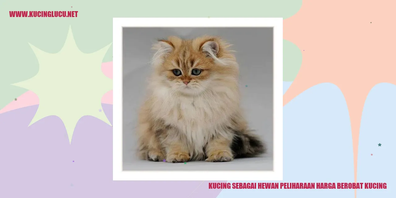 Kucing Sebagai Hewan Peliharaan harga berobat kucing