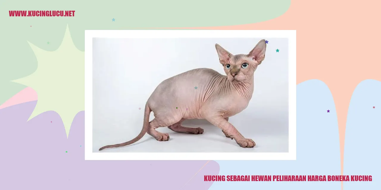 Gambar Mainan Kucing
