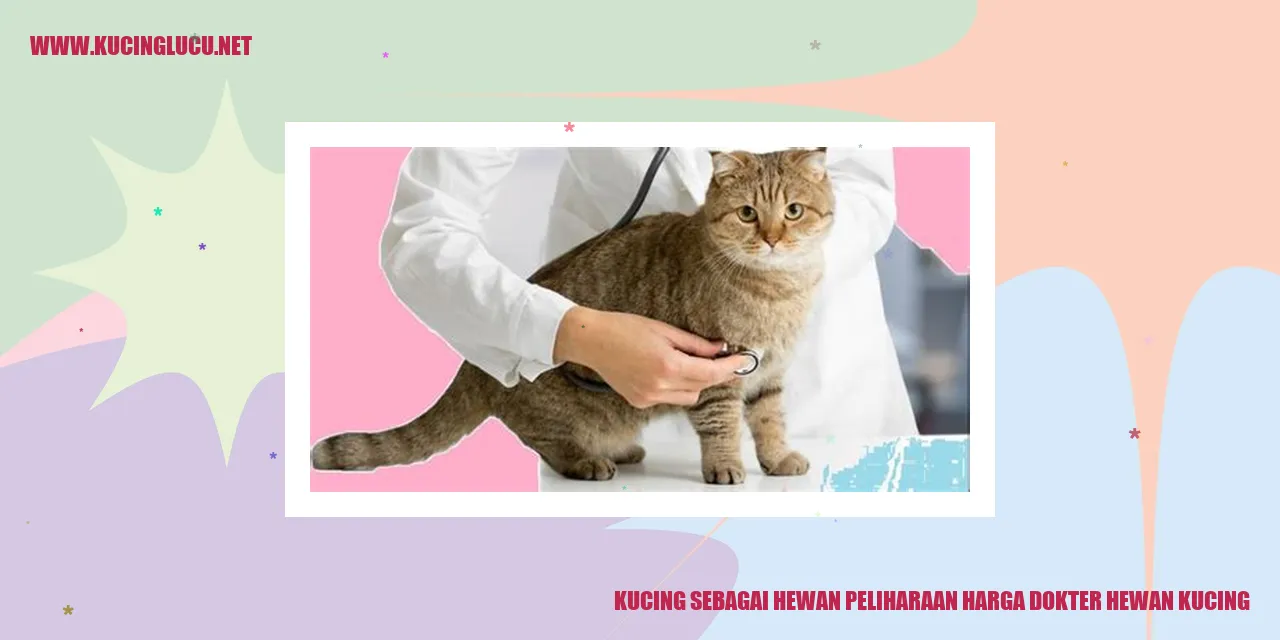 Gambiran Kucing