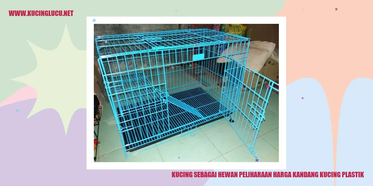 Gambar kucing dan kandang kucing plastik
