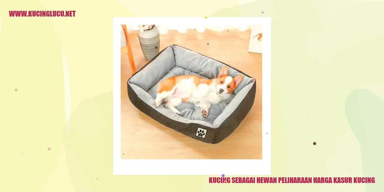 Kucing sebagai Hewan Peliharaan