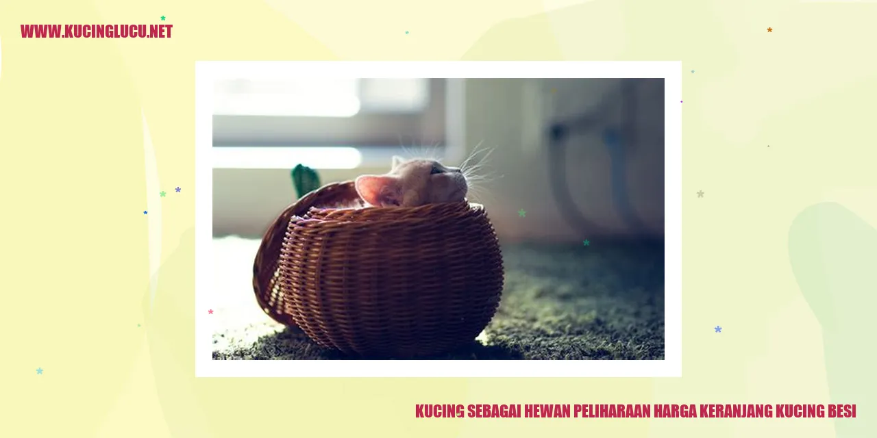 kucing peliharaan