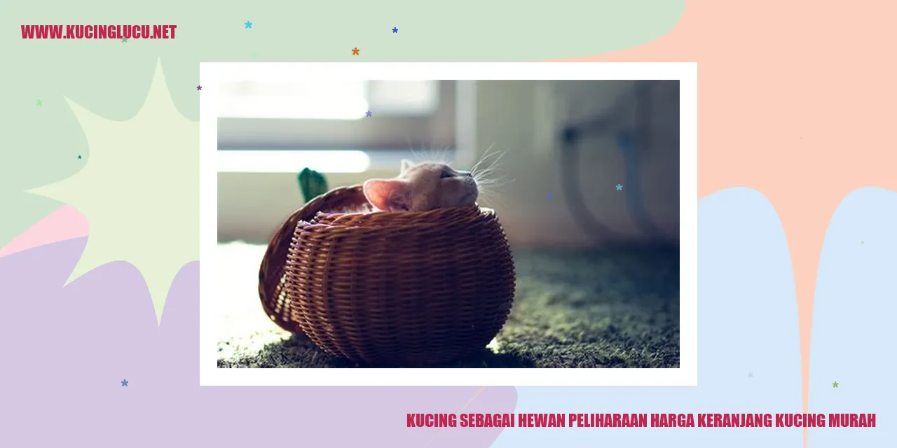 Kucing sebagai Hewan Peliharaan harga keranjang kucing murah