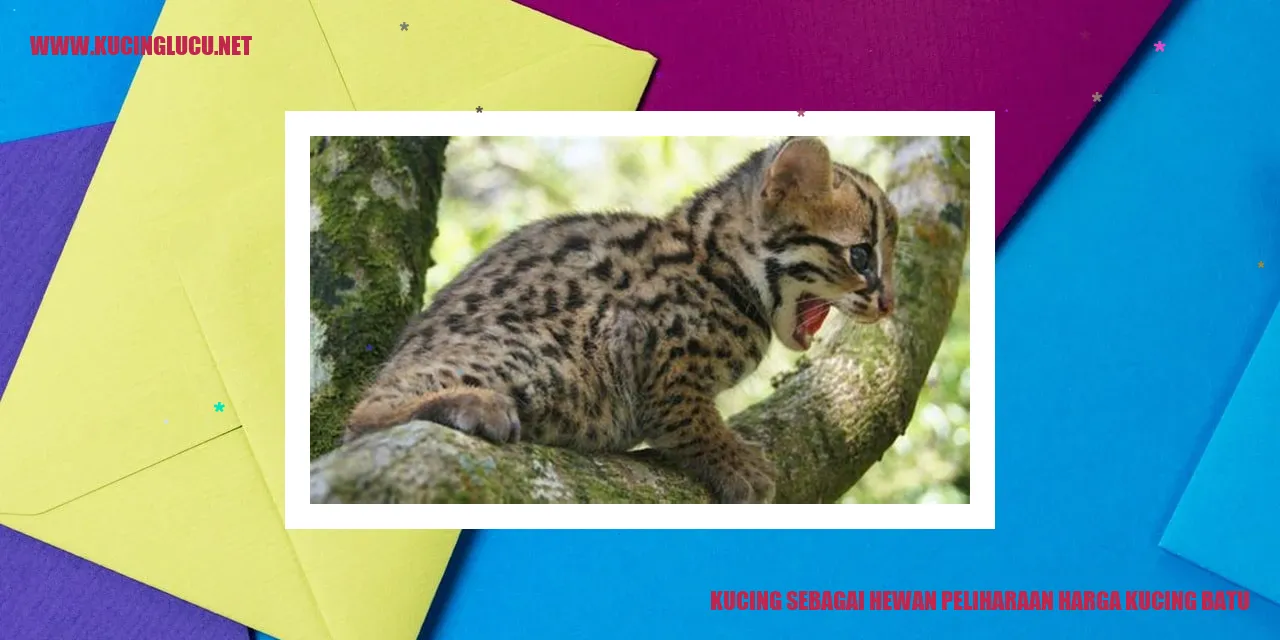 Kucing Batu yang Menggemaskan sebagai Hewan Peliharaan
