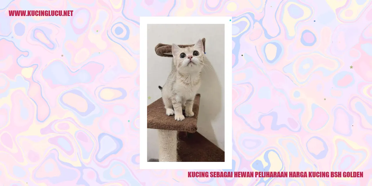 Kucing sebagai Hewan Peliharaan