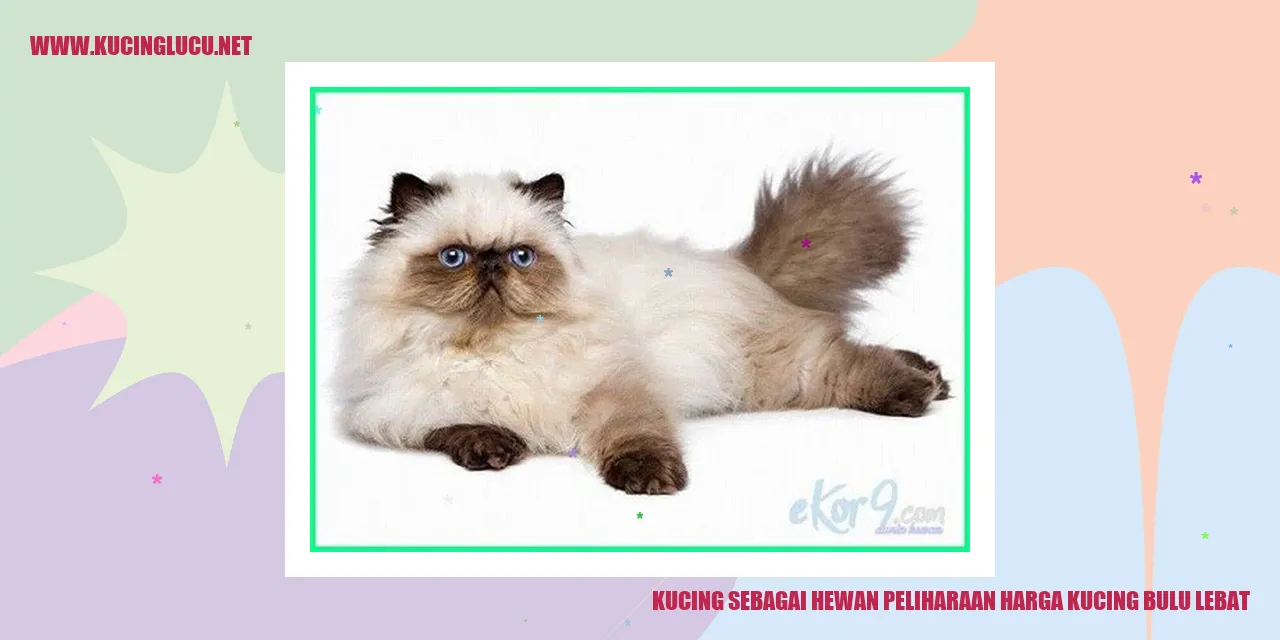 Foto Kucing Berbulu Menggoda