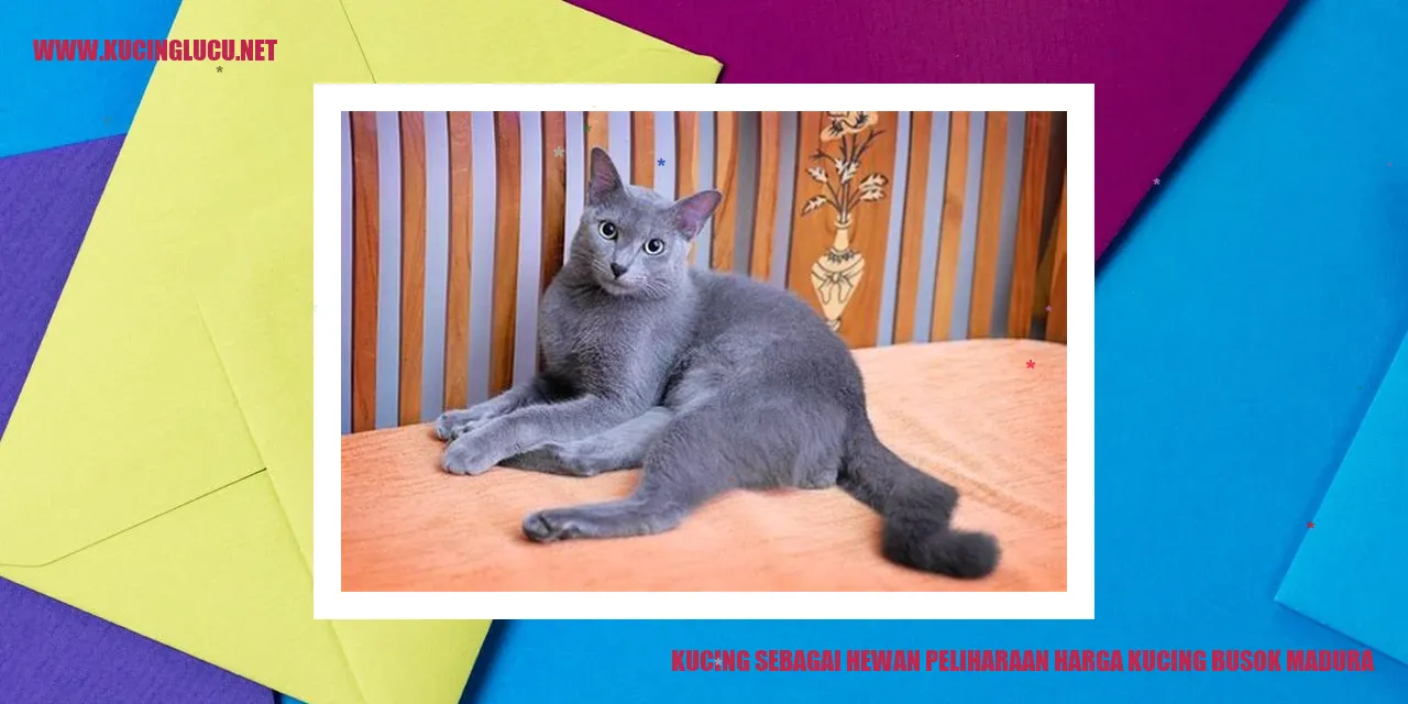 Galeri kucing sebagai hewan peliharaan