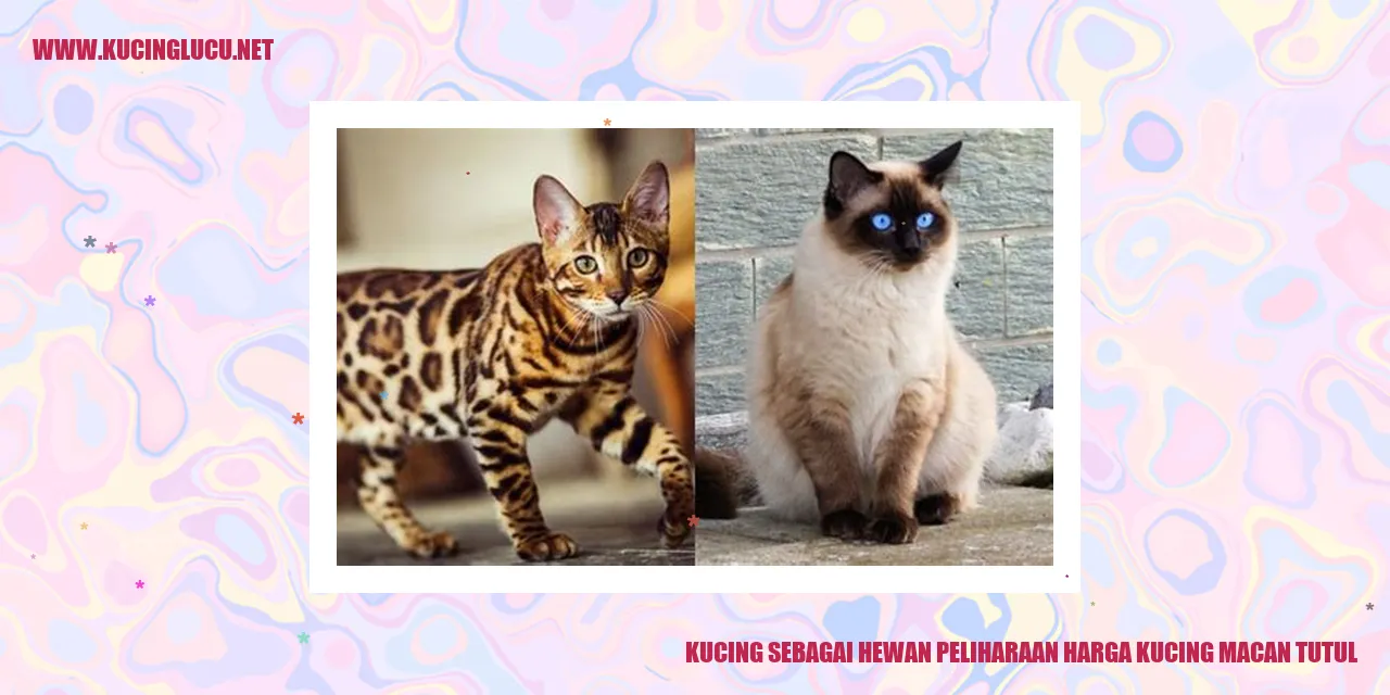 Kucing Macan Tutul
