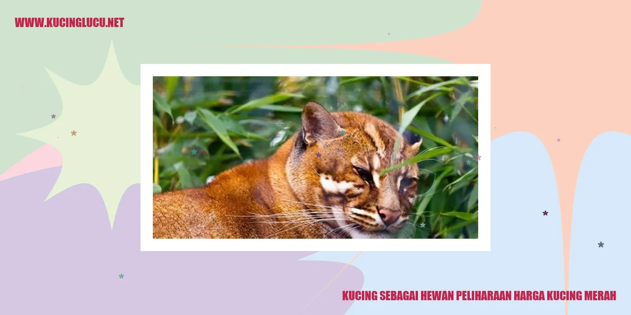 Potret Menggemaskan Si Kucing Merah
