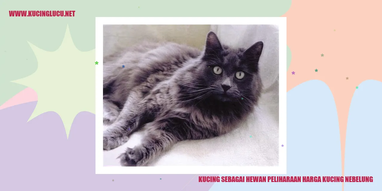 Kucing sebagai Hewan Peliharaan harga kucing nebelung