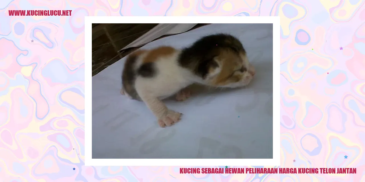 Kucing sebagai Hewan Peliharaan harga kucing telon jantan