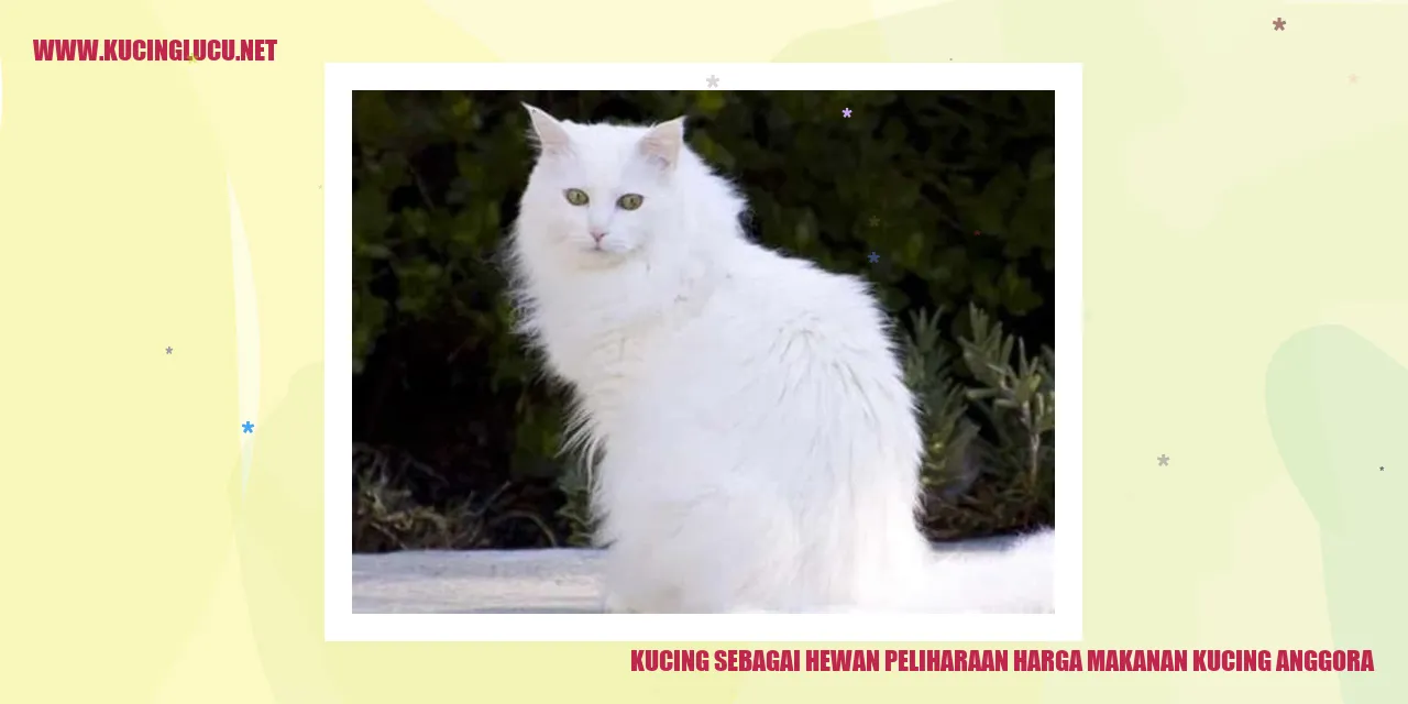 Kucing Anggora yang Cantik