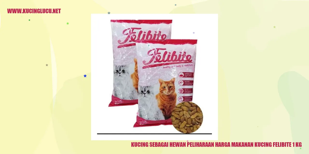 gambar kucing