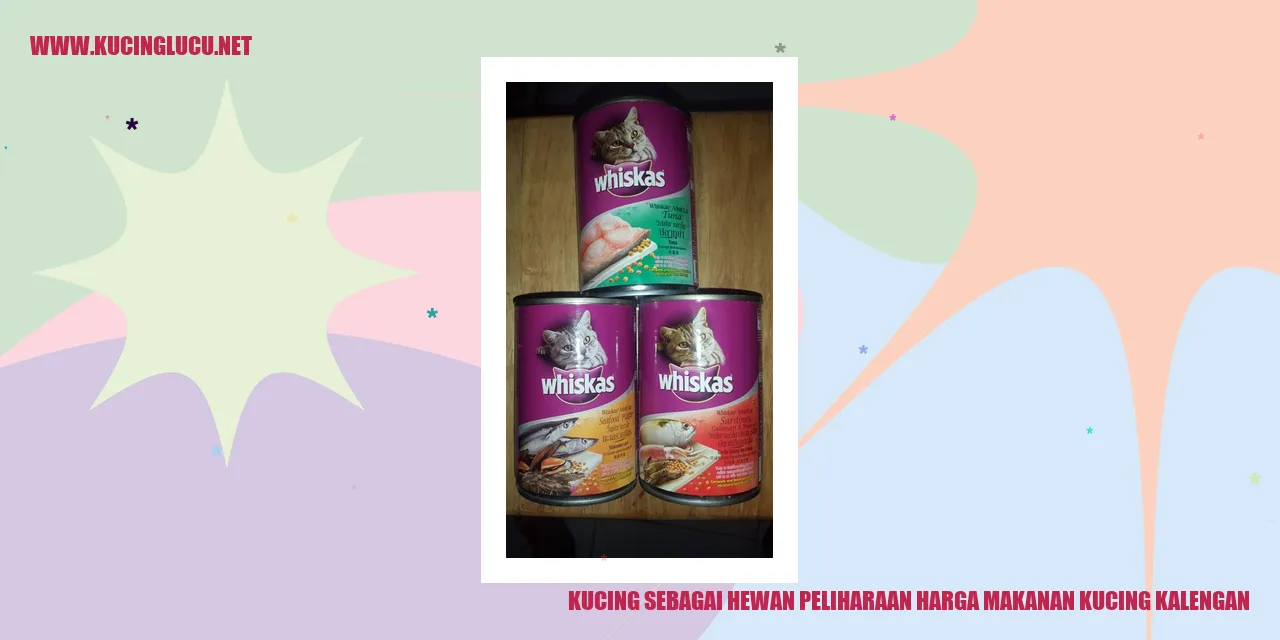 Gambar Kucing Makanan Kalengan