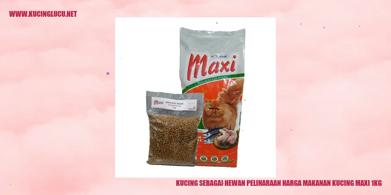 Gambar kucing kesayangan