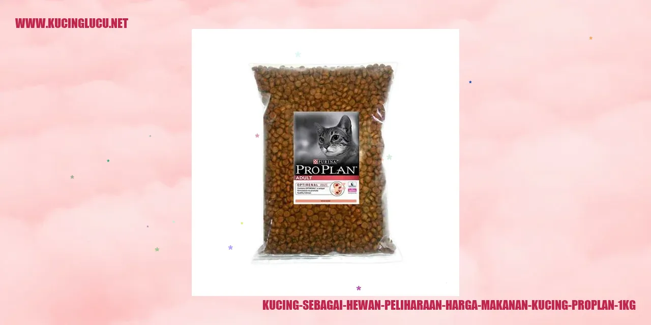 Gambar kucing