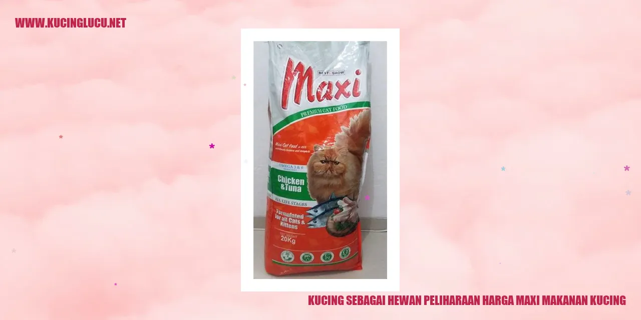Gambar seekor kucing