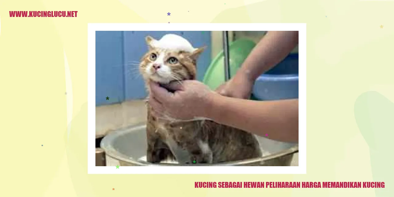 Kucing Sedang Dimandikan