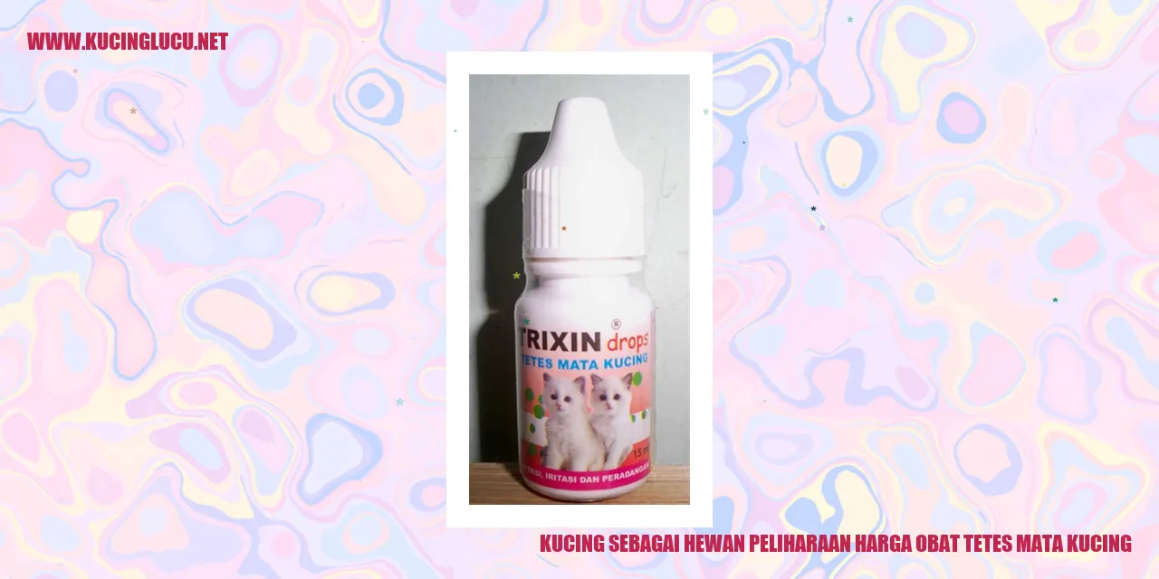 Gambar kucing