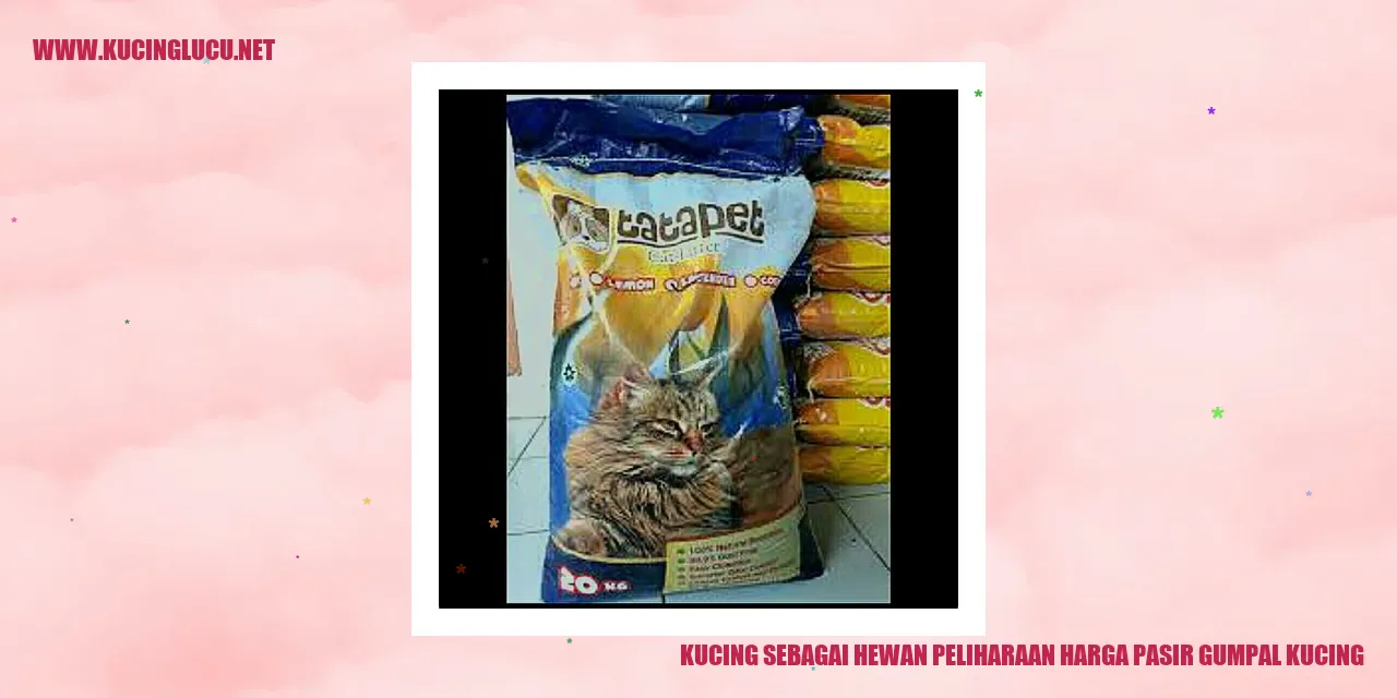 Foto Kucing