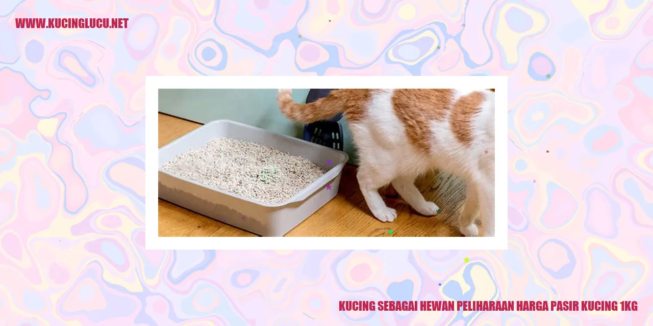 Kucing Hewan Peliharaan