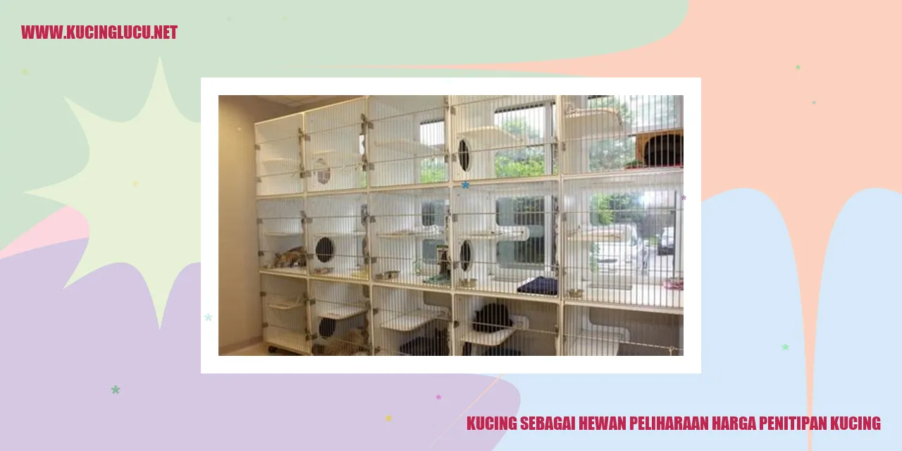 Foto kucing yang sangat menggemaskan