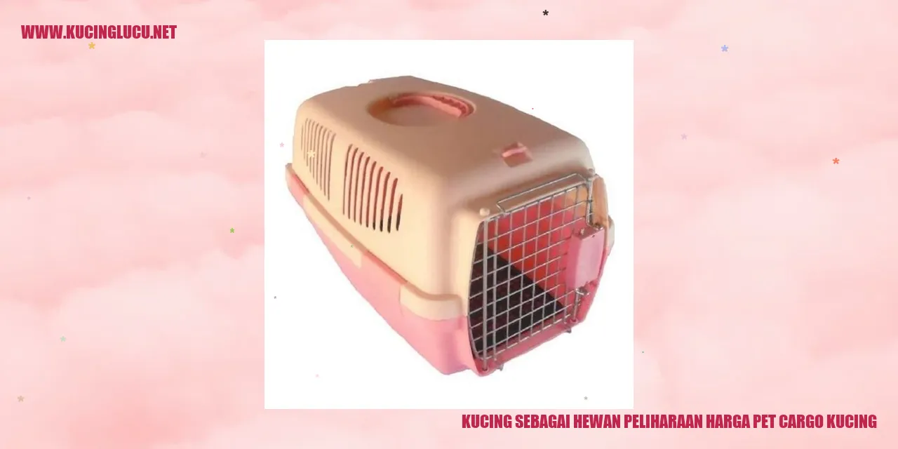 Gambar Kucing