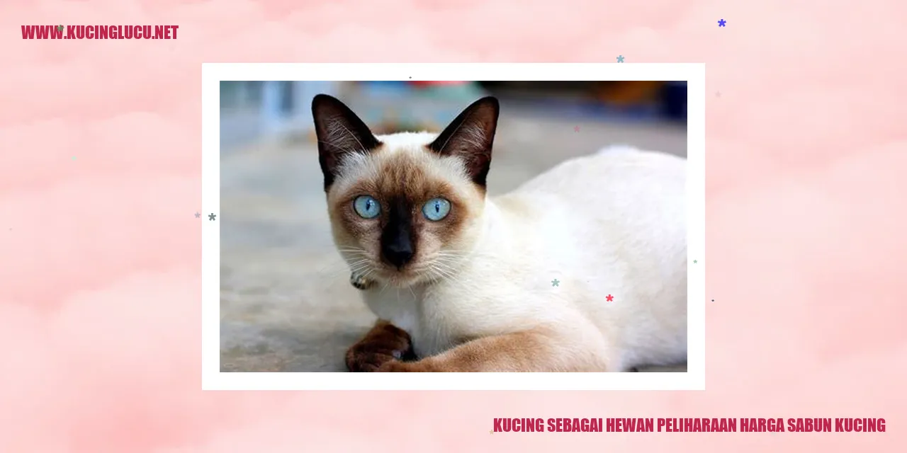 Gambar Kucing sebagai Hewan Peliharaan