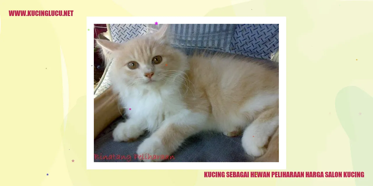 Kucing sebagai Hewan Peliharaan