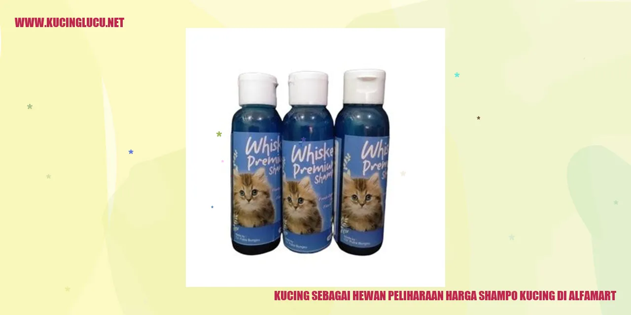 Gambar kucing