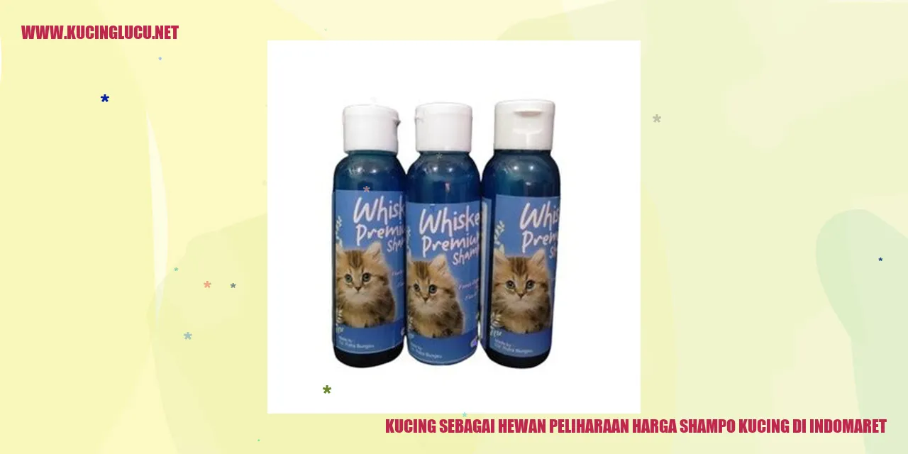 kucing dan shampo