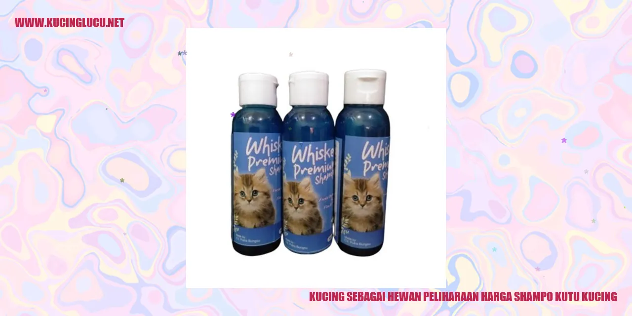 Gambar kucing