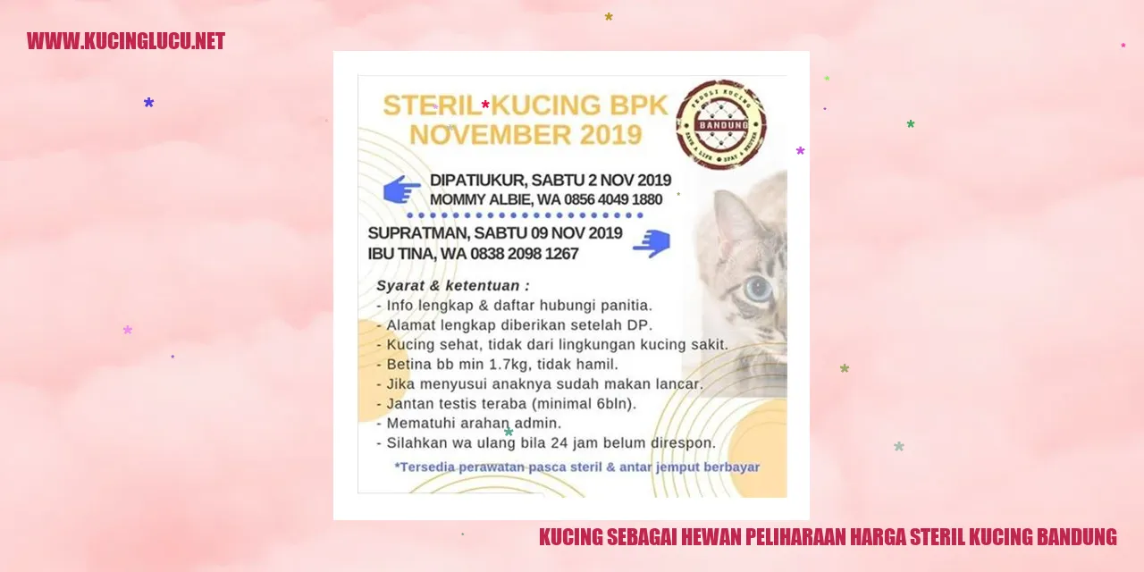Kucing sebagai Hewan Peliharaan harga steril kucing Bandung