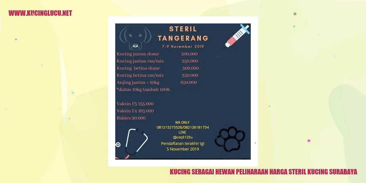 Kucing sebagai Hewan Peliharaan harga steril kucing surabaya