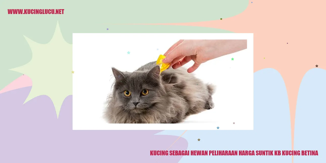 Gambar Kucing Betina
