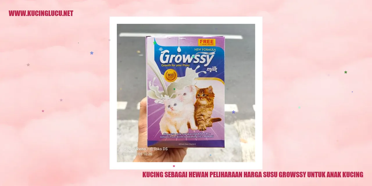 Gambar Kucing Menggemaskan