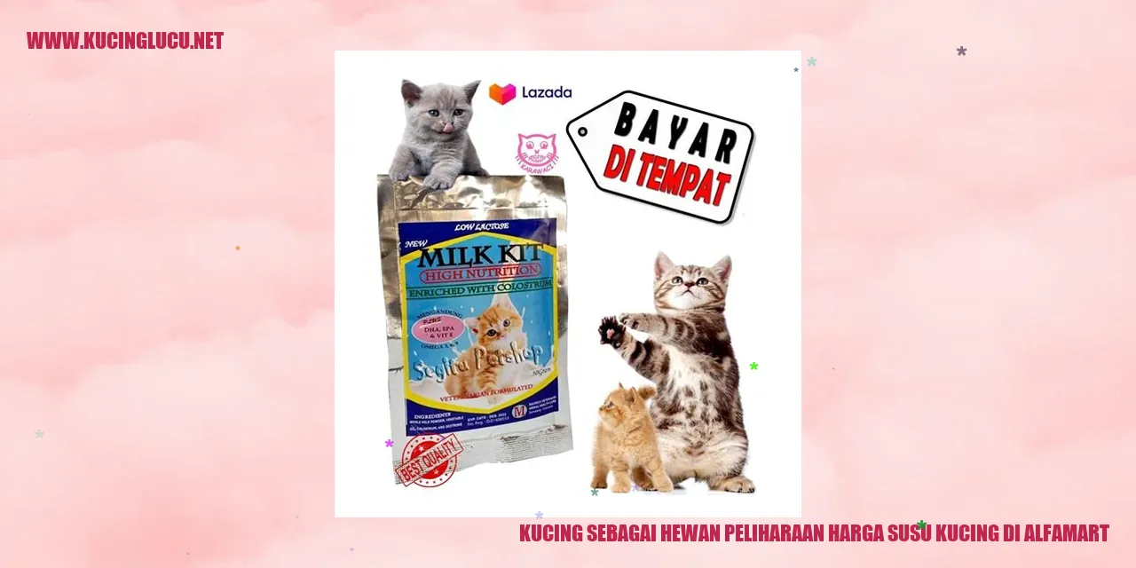 Kucing Sebagai Hewan Peliharaan