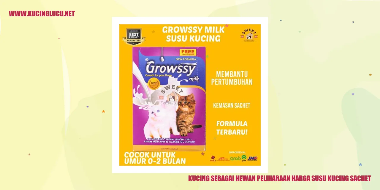 Gambar kucing sebagai hewan peliharan